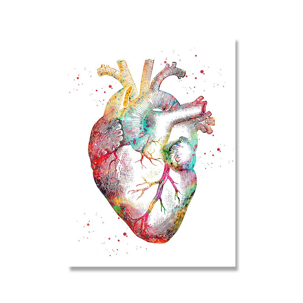 Human Anatomy Wall Art