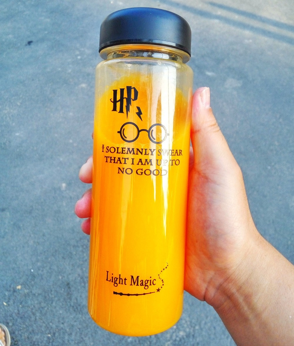 500 mL Harry Potter Water Bottle | Environmentally Friendly