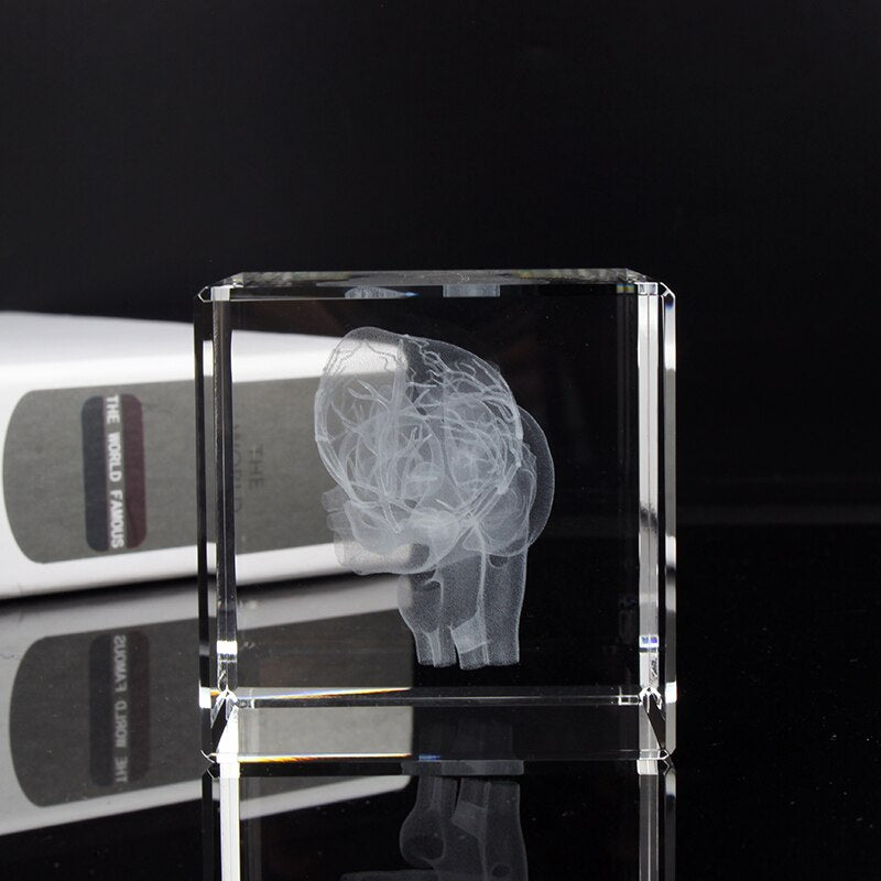 Crystal 3D Laser Engraving Human Organ Anatomy Model