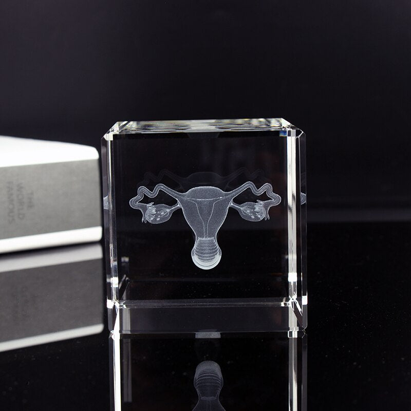 Crystal 3D Laser Engraving Human Organ Anatomy Model