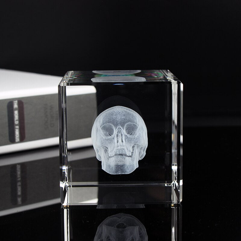 Crystal 3D Laser Engraving Human Organ Anatomy Model