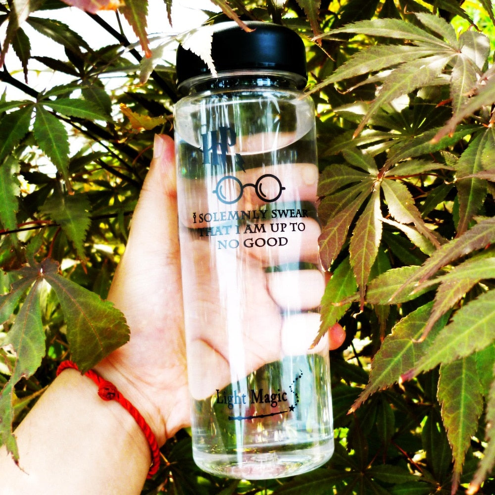 500 mL Harry Potter Water Bottle | Environmentally Friendly