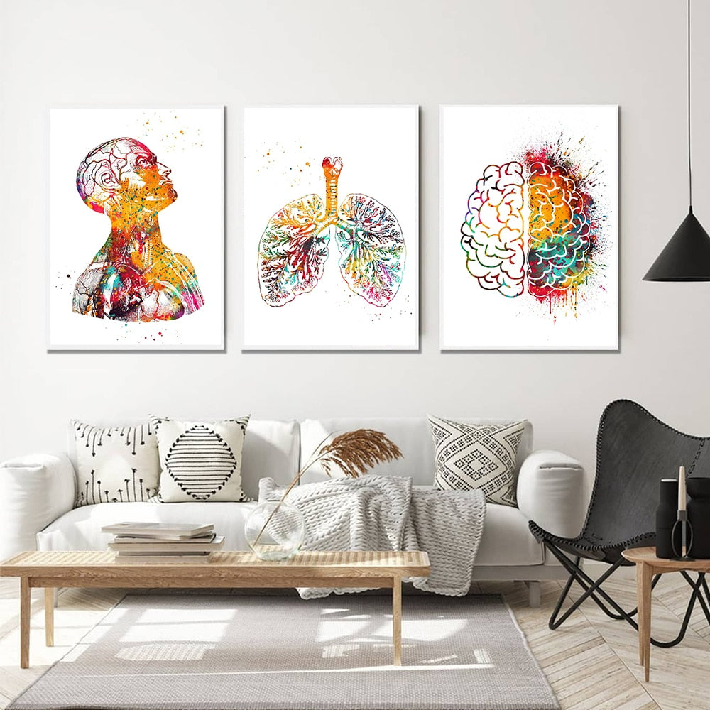 Human Anatomy Wall Art