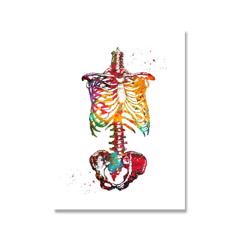 Human Anatomy Wall Art